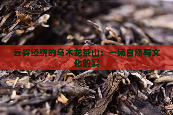 云雾缭绕的乌木龙茶山：一场自然与文化的宴