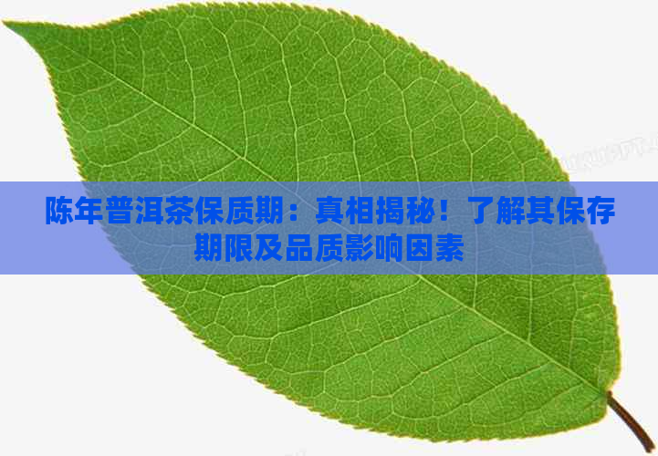 陈年普洱茶保质期：真相揭秘！了解其保存期限及品质影响因素