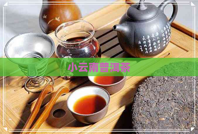 小云南普洱茶