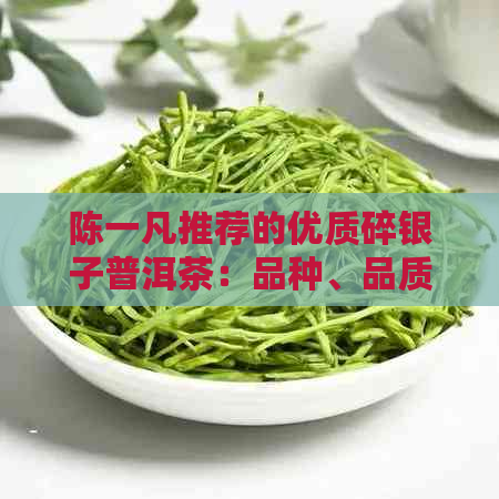 陈一凡推荐的优质碎银子普洱茶：品种、品质、口感与选购指南