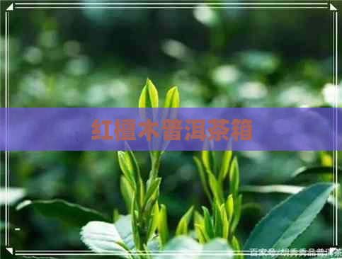 红檀木普洱茶箱