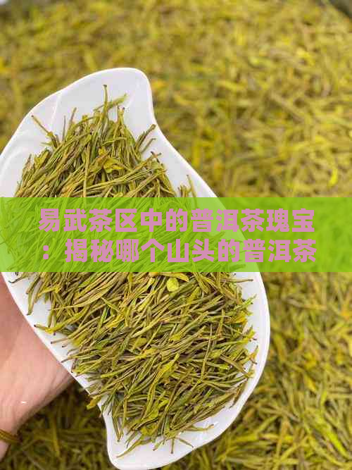 易武茶区中的普洱茶瑰宝：揭秘哪个山头的普洱茶最尊贵？