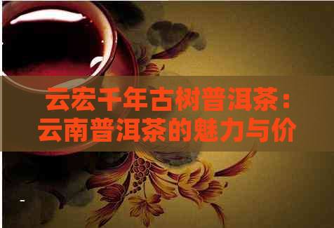 云宏千年古树普洱茶：云南普洱茶的魅力与价值