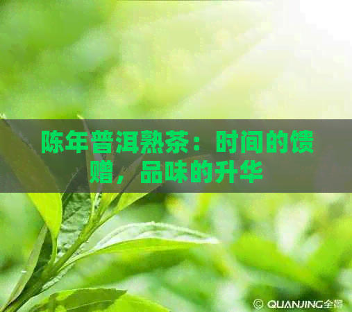 陈年普洱熟茶：时间的馈赠，品味的升华