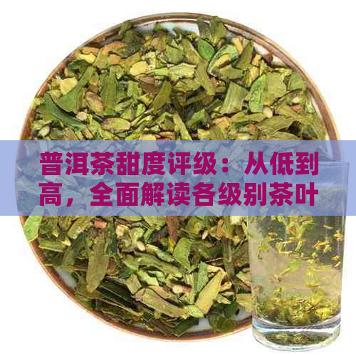 普洱茶甜度评级：从低到高，全面解读各级别茶叶的口感特点