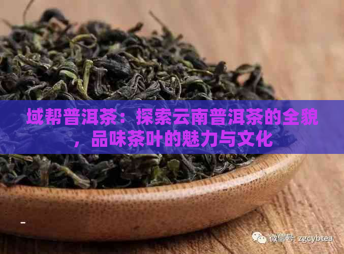 域帮普洱茶：探索云南普洱茶的全貌，品味茶叶的魅力与文化