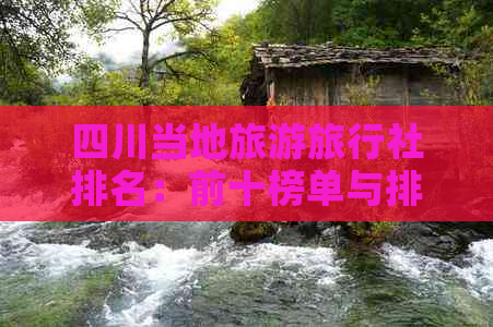 四川当地旅游旅行社排名：前十榜单与排行榜