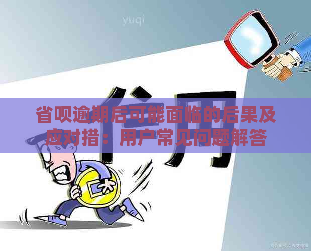 省呗逾期后可能面临的后果及应对措：用户常见问题解答