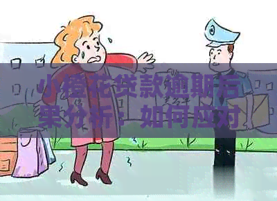 小橙花贷款逾期后果分析：如何应对还款问题