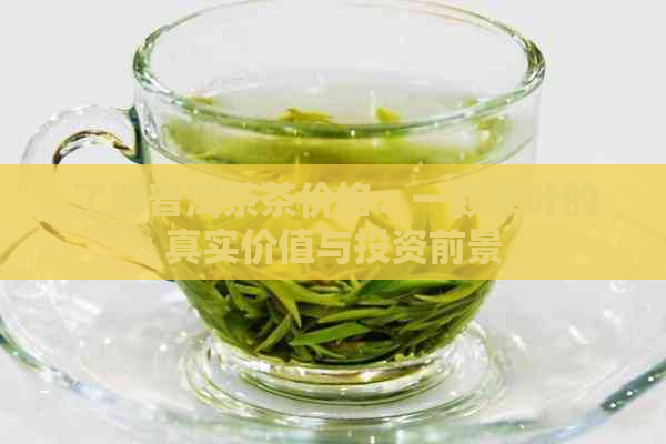 了解普洱茶茶价格：一颗茶叶的真实价值与投资前景