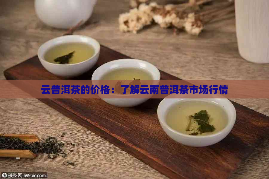 云普洱茶的价格：了解云南普洱茶市场行情