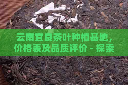 云南宜良茶叶种植基地，价格表及品质评价 - 探索云南宜良茶厂的茶叶世界