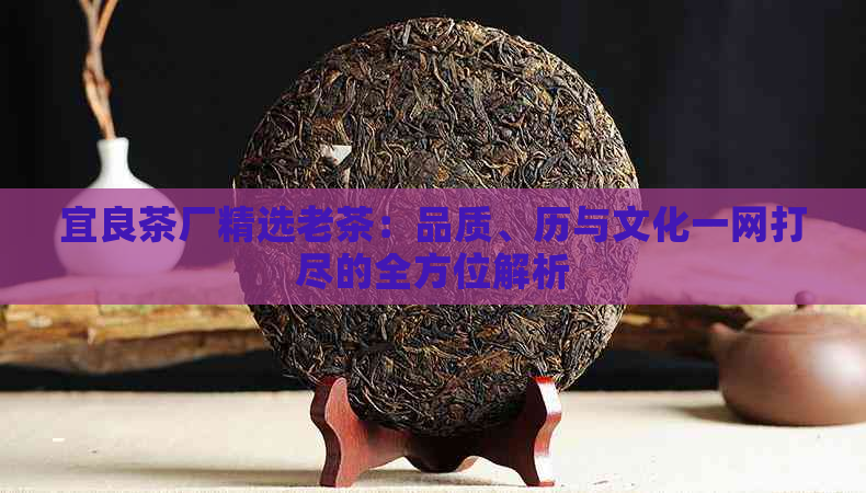 宜良茶厂精选老茶：品质、历与文化一网打尽的全方位解析