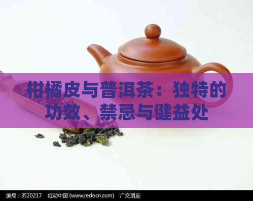 柑橘皮与普洱茶：独特的功效、禁忌与健益处