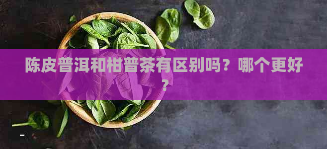 陈皮普洱和柑普茶有区别吗？哪个更好？