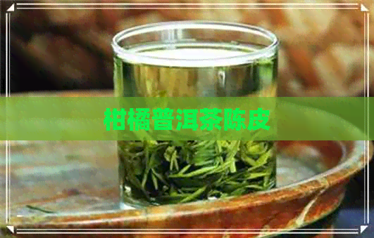 柑橘普洱茶陈皮