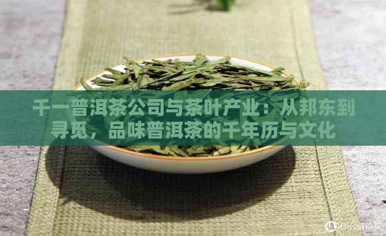 千一普洱茶公司与茶叶产业：从邦东到寻觅，品味普洱茶的千年历与文化