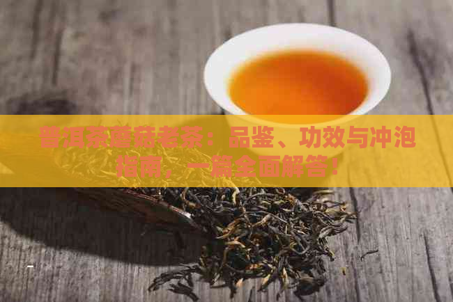 普洱茶蘑菇老茶：品鉴、功效与冲泡指南，一篇全面解答！