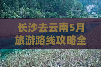 长沙去云南5月旅游路线攻略全解析：更佳自驾游线路与实用指南