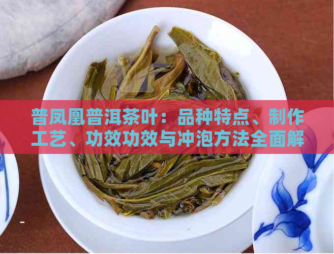 普凤凰普洱茶叶：品种特点、制作工艺、功效功效与冲泡方法全面解析