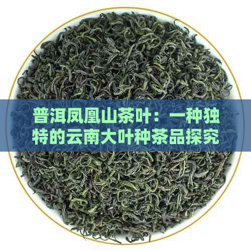 普洱凤凰山茶叶：一种独特的云南大叶种茶品探究