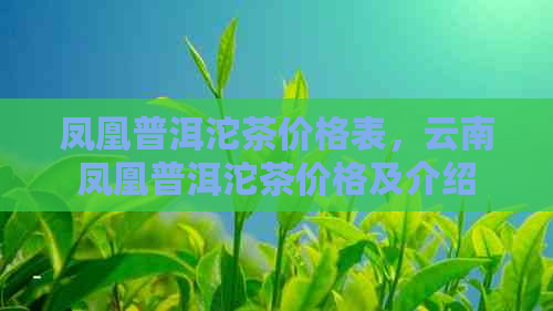 凤凰普洱沱茶价格表，云南凤凰普洱沱茶价格及介绍