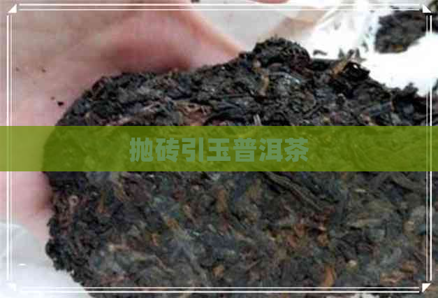 抛砖引玉普洱茶