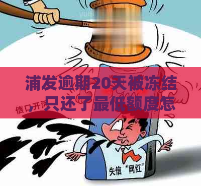 浦发逾期20天被冻结，只还了更低额度怎么办