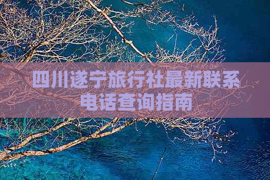 四川遂宁旅行社最新联系电话查询指南