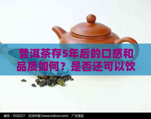 普洱茶存5年后的口感和品质如何？是否还可以饮用？