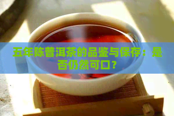 五年陈普洱茶的品鉴与保存：是否仍然可口？