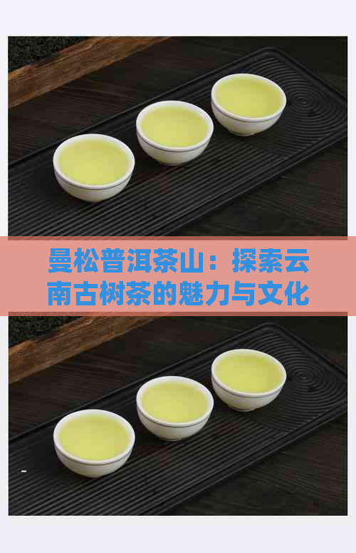 曼松普洱茶山：探索云南古树茶的魅力与文化，品尝顶级普洱茶的极致体验