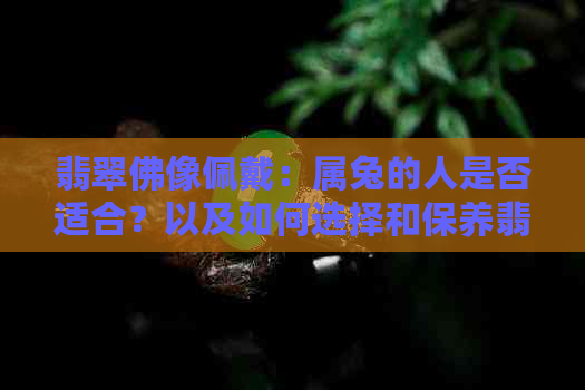 翡翠佛像佩戴：属兔的人是否适合？以及如何选择和保养翡翠佛像