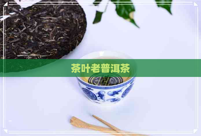 茶叶老普洱茶