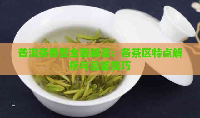 普洱茶香型全面解读：各茶区特点解析与品鉴技巧