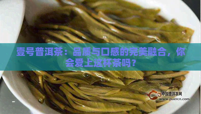 壹号普洱茶：品质与口感的完美融合，你会爱上这杯茶吗？