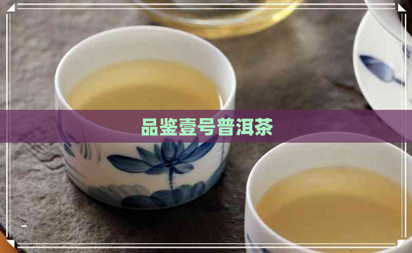 品鉴壹号普洱茶