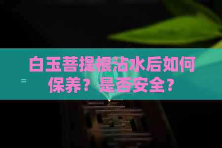 白玉菩提根沾水后如何保养？是否安全？