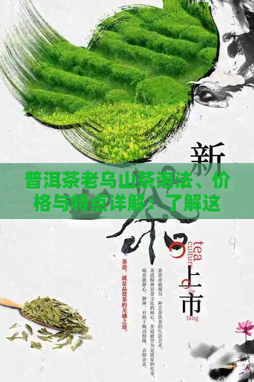 普洱茶老乌山茶泡法、价格与特点详解：了解这款特色茶叶的正确方式