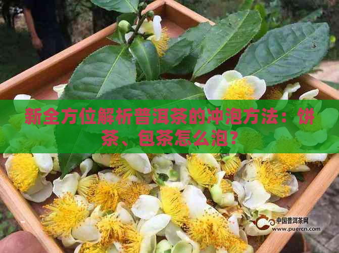 新全方位解析普洱茶的冲泡方法：饼茶、包茶怎么泡？