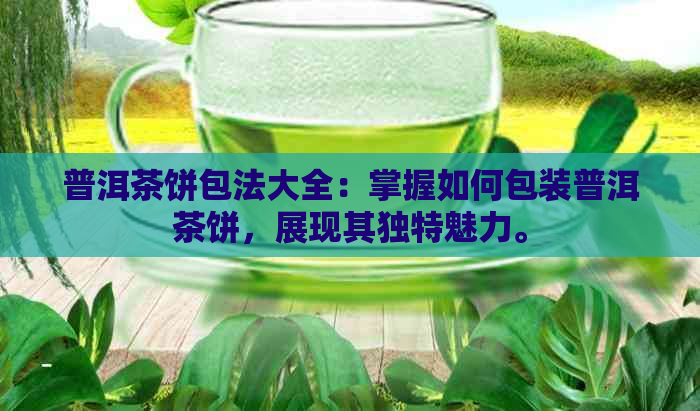 普洱茶饼包法大全：掌握如何包装普洱茶饼，展现其独特魅力。