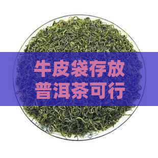 牛皮袋存放普洱茶可行吗？有吗？