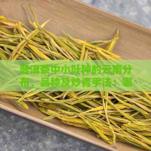 普洱茶中小叶种的云南分布、品种及炒青手法：哪些种类最为优秀？