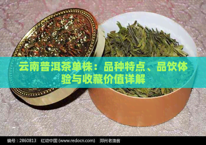 云南普洱茶单株：品种特点、品饮体验与收藏价值详解