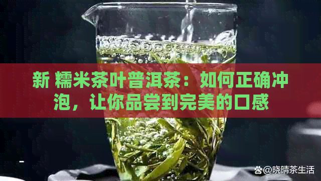 新 糯米茶叶普洱茶：如何正确冲泡，让你品尝到完美的口感