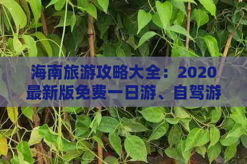 海南旅游攻略大全：2020最新版免费一日游、自驾游攻略