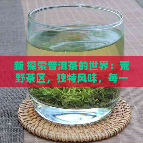 新 探索普洱茶的世界：荒野茶区，独特风味，每一饼的价格解读