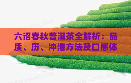 六诏春秋普洱茶全解析：品质、历、冲泡方法及口感体验一应俱全！