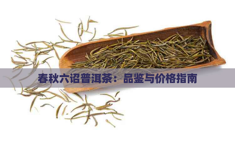 春秋六诏普洱茶：品鉴与价格指南