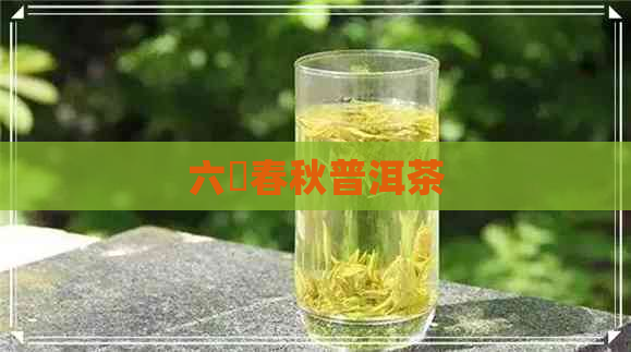 六詔春秋普洱茶